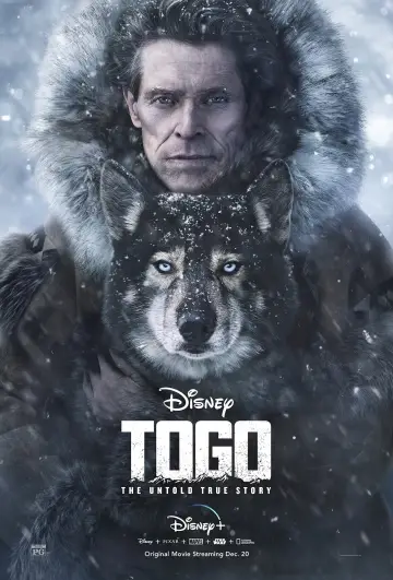 Plakat do filmu "Togo" #61353