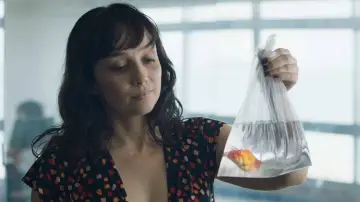 Zasłona do filmu "O Livro dos Prazeres" #445274