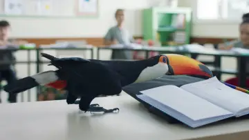 Zasłona do filmu "O Livro dos Prazeres" #445276