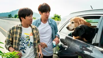 Zasłona do filmu "멍뭉이" #1051656