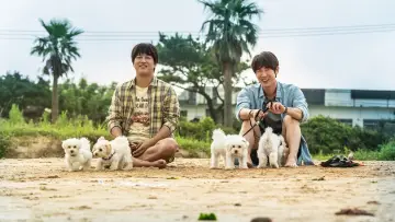 Zasłona do filmu "멍뭉이" #413855