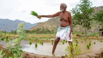 Zasłona do filmu "கடைசி விவசாயி" #1160691