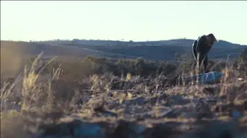 Zasłona do filmu "Outback" #408965