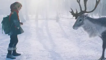 Zasłona do filmu "Chłopiec zwany Gwiazdką" #220020