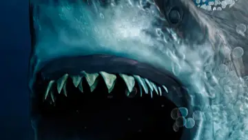 Zasłona do filmu "Meg 2: Głębia" #163251