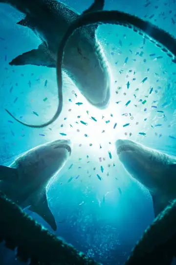 Plakat do filmu "Meg 2: Głębia" #163270
