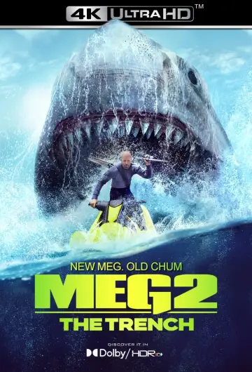 Plakat do filmu "Meg 2: Głębia" #1977