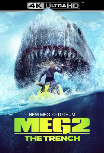 Plakat do filmu "Meg 2: Głębia" #1985