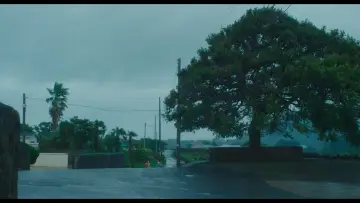 Zasłona do filmu "소울메이트" #887458