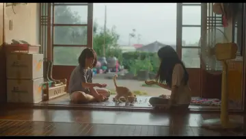 Zasłona do filmu "소울메이트" #887469