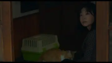 Zasłona do filmu "소울메이트" #887535
