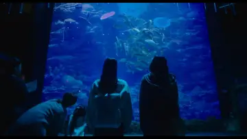 Zasłona do filmu "소울메이트" #887549