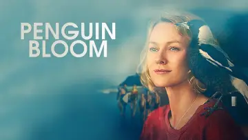 Zasłona do filmu "Penguin Bloom: Niesamowita historia Sam Bloom" #133218