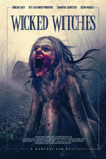 Plakat do filmu "Wicked Witches" #1279768