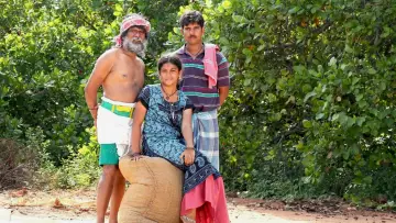 Zasłona do filmu "முந்திரிக்காடு" #420620