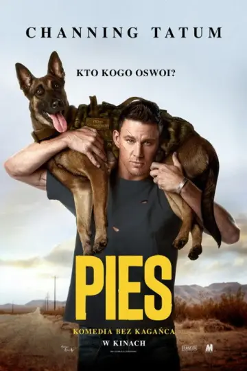 Plakat do filmu "Pies" #867947