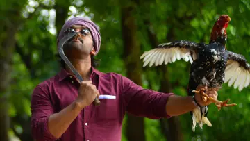 Zasłona do filmu "అల వైకుంఠపురములో" #880119