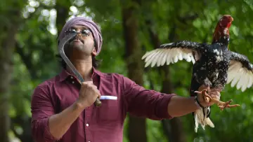 Zasłona do filmu "అల వైకుంఠపురములో" #880120