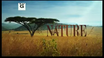 Zasłona do filmu "Nature: Yosemite" #1146722