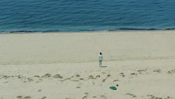 Zasłona do filmu "Dom na plaży" #411792