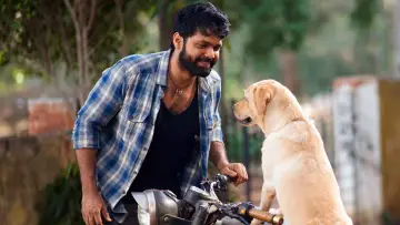 Zasłona do filmu "777 ಚಾರ್ಲಿ" #418944