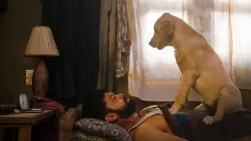 Zasłona do filmu "777 ಚಾರ್ಲಿ" #418948