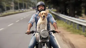 Zasłona do filmu "777 ಚಾರ್ಲಿ" #418949
