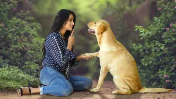 Zasłona do filmu "777 ಚಾರ್ಲಿ" #418950