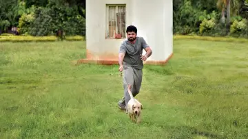 Zasłona do filmu "777 ಚಾರ್ಲಿ" #418954