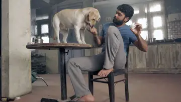 Zasłona do filmu "777 ಚಾರ್ಲಿ" #418962