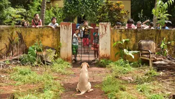 Zasłona do filmu "777 ಚಾರ್ಲಿ" #418963