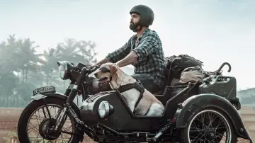 Zasłona do filmu "777 ಚಾರ್ಲಿ" #418966