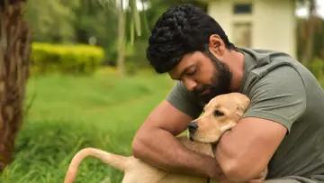 Zasłona do filmu "777 ಚಾರ್ಲಿ" #418970