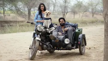 Zasłona do filmu "777 ಚಾರ್ಲಿ" #418972