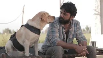 Zasłona do filmu "777 ಚಾರ್ಲಿ" #418985
