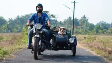 Zasłona do filmu "777 ಚಾರ್ಲಿ" #418987