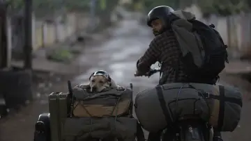 Zasłona do filmu "777 ಚಾರ್ಲಿ" #418990
