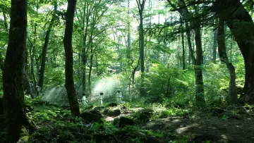 Zasłona do filmu "約束のネバーランド" #474927