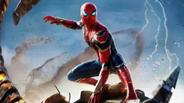 Zasłona do filmu "Spider-Man: Bez drogi do domu" #161299