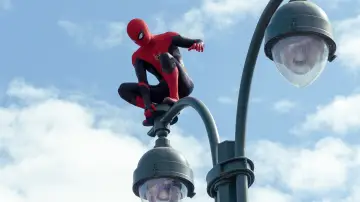Zasłona do filmu "Spider-Man: Bez drogi do domu" #161316