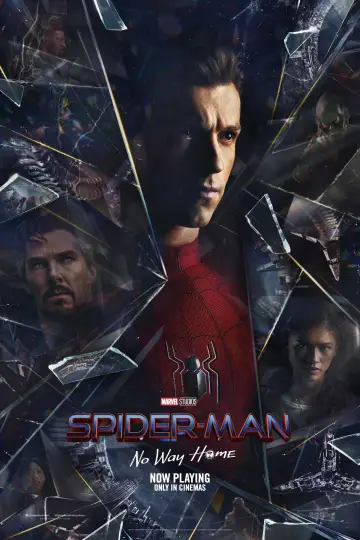 Plakat do filmu "Spider-Man: Bez drogi do domu" #3413