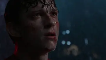 Zasłona do filmu "Spider-Man: Bez drogi do domu" #502835