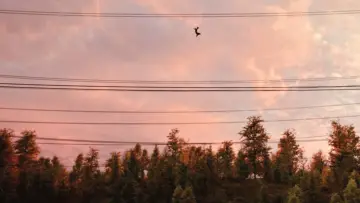 Zasłona do filmu "Spider-Man: Bez drogi do domu" #525383