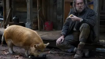 Zasłona do filmu "Świnia" #271696