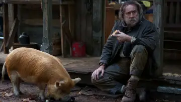 Zasłona do filmu "Świnia" #271698