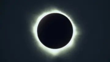 Zasłona do filmu "Occhiali neri" #393818