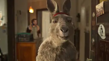Zasłona do filmu "Kangur!" #420155