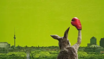 Zasłona do filmu "Kangur!" #420156