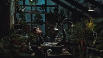 Zasłona do filmu "Bez wyjścia" #511100