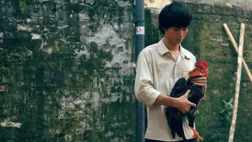 Zasłona do filmu "Thành Phố Ngủ Gật" #1174103